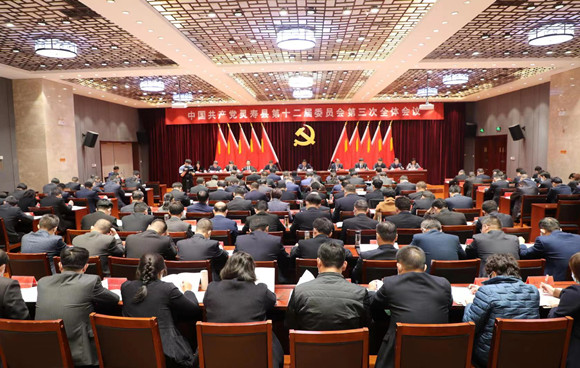 中共灵寿县委举行十二届三次全会
