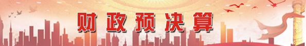 财政预决算