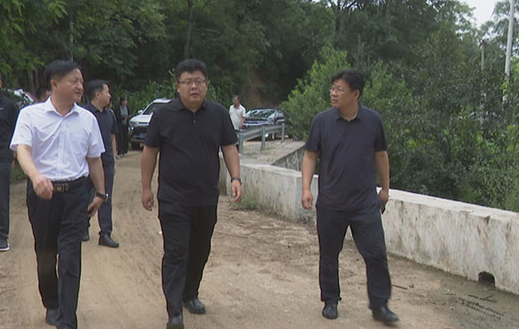 县长胡万程调研防汛备汛工作