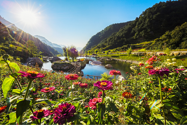 漫山花溪谷景区